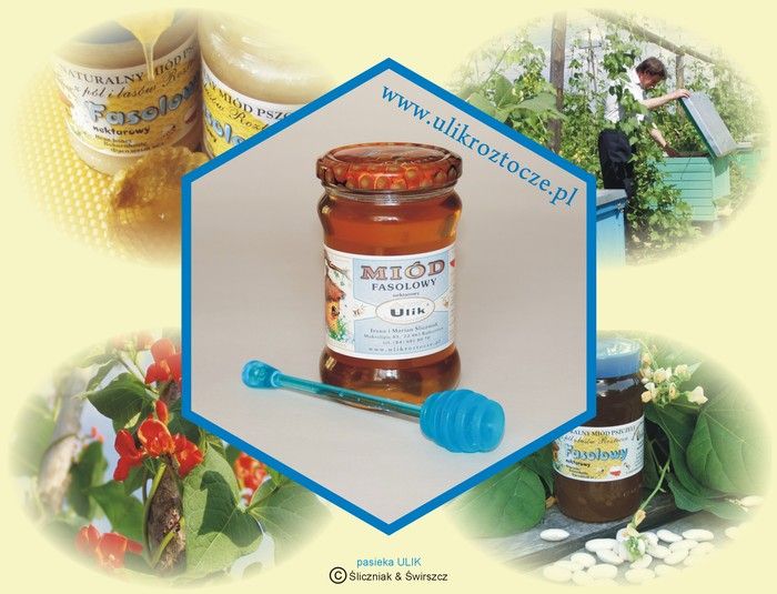 Oryginalny, polski, regionalny miód fasolowy z pasieki ULIK na Roztoczu.