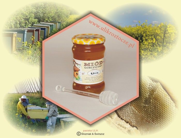 naturalny miód pszczeli gorczycowy z pasieki ULIK na Roztoczu